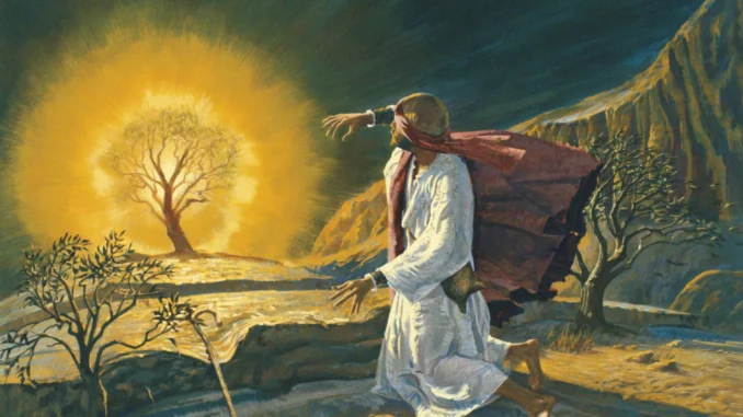 moises-zarza-exodo-misterios-revelados-tetrael-increible